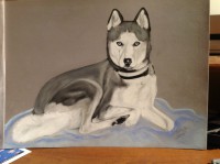 /album/galerie-photos/photo-1075-jpg/